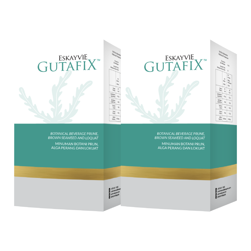 product eskayvie gutafix 2