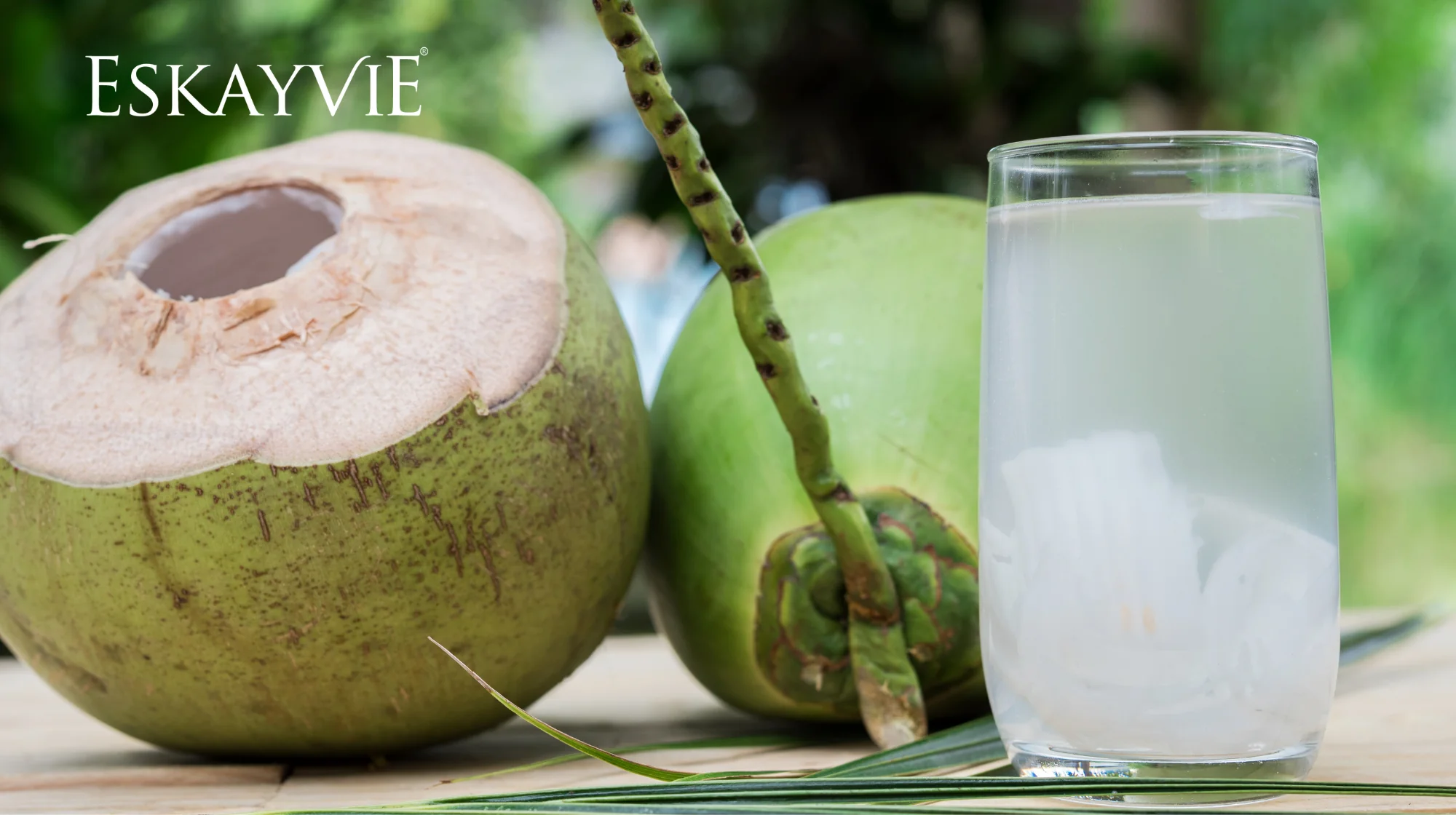 Minum Air Kelapa Selepas Divaksin Punca Vaksin Tak Lut? Mitos Atau Fakta